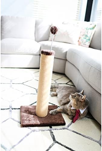 חתול קרפט חדש שטיח גרוד