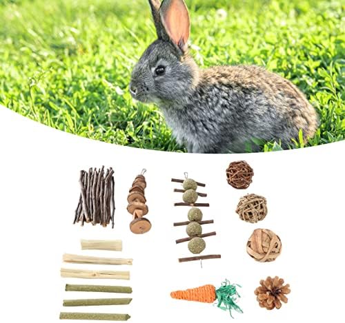 צעצועי ארנב צעצועי דשא מחמד של דשא מחמד מקדמים עיכול, שיניים טוחנות, הגדלת פעילות גופנית, גזר עבור שפן