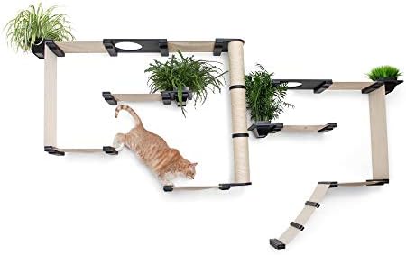 קטסטרופלייצירות גנים סט לחתולים מרובה-רמת קיר רכוב שריטה, ערסל טרקלין, לשחק & מגבר; טיפוס פעילות מרכז