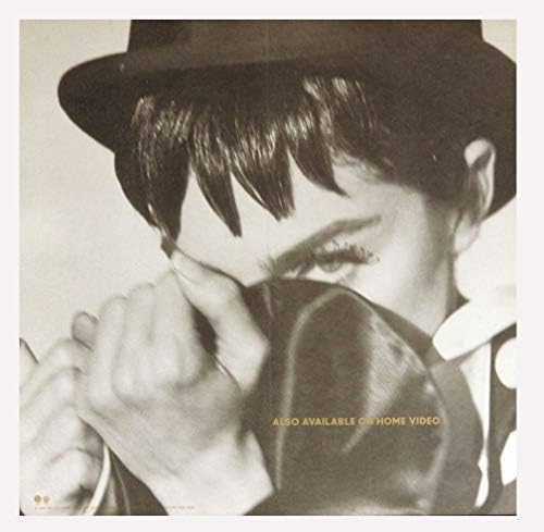 פוסטר מדונה דירה 1990 הקולקציה ללא רבב אלבום קידום 12 x 12