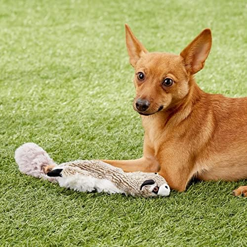 ספוט על ידי מוצרים אתיים סקיניז-צעצועי הכלבים המקוריים ללא חומר-צעצועי חריקה ומשיכה לכלבים קטנים וכלבים