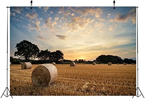 Corfoto בד 9x6ft תפאורה מערבית נושא צילום מרעה מרעה פרות שטח עשב שמיים כחולים קציר אסם מבוך יום הולדת