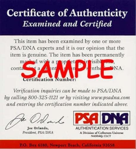 Bert Blyleven PSA DNA חתום 8x10 שודדי חתימות צילום - תמונות MLB עם חתימה